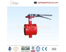 D81X-10/16Q handle grooved butterfly valve