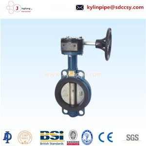 D371X-10/16 worm gear pair valve